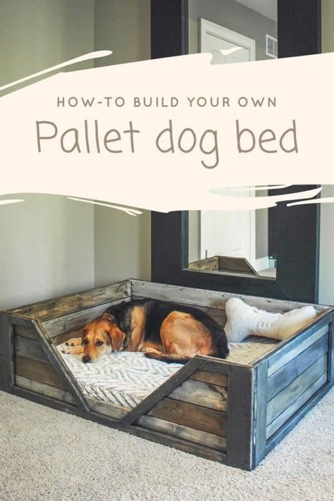 Pallet Dog Bed, Pallet Dog Beds, 1001 Pallets, Pallet Bed, Milk Crate, Diy Dog Bed, Dog Rooms, Pallet Ideas, Diy Pallet Projects