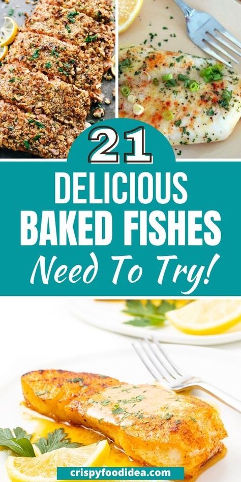 These delicious baked fish recipes are best for meal prep and you need to try. Easy Baked Fish Recipes, Healthy Fish Dinners, Easy Fish Dinners, Recipes For Meal Prep, Best Fish Recipes, Fish Recipes Baked, Baked Fish Recipes, Fish Dinner Recipes, Easy Fish Recipes