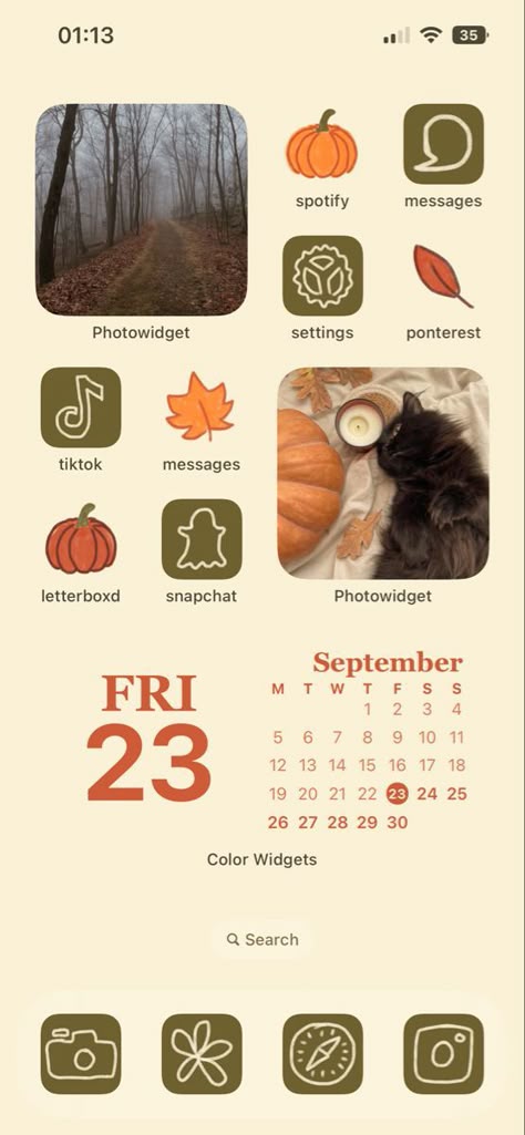 App Organization Iphone Aesthetic Fall, Fall Theme Iphone Homescreen, Fall Wallpaper Iphone Widgets, Fall Background Wallpaper Iphone, October Ios 16 Wallpaper, Halloween Phone Setup, Aesthetic Wallpaper Iphone Widget Ideas, Wigets Idea Fall, Fall Wallpaper And Widgets