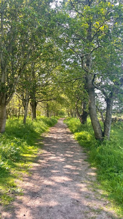 Walks In Nature Aesthetic, Walking Asthetic Pic, Summer Walks Aesthetic, Going On Walks Aesthetic, Walking Asethic, Nature Walks Aesthetic, Forest Walk Aesthetic, Nature Walk Aesthetic, Morning Walks Aesthetic