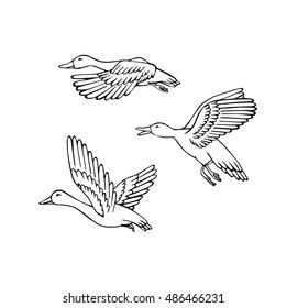 Duck Flying Drawing, Minimal Duck Tattoo, Duck Line Drawing, Mallard Drawing, Mallard Tattoo, Mallard Duck Tattoo, Bailey Tattoo, Duck Outline, Michael Ray