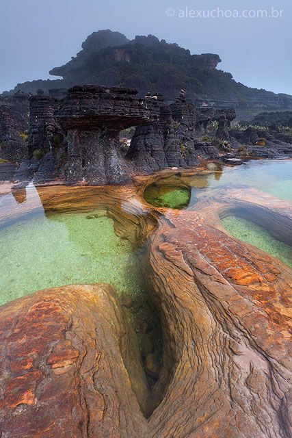 Monte Roraima - Venezuela, Brasil e Guiana Monte Roraima, Mount Roraima, Phuket Thailand, Incredible Places, Pretty Places, Places Around The World, Phuket, Wonderful Places, Vacation Spots