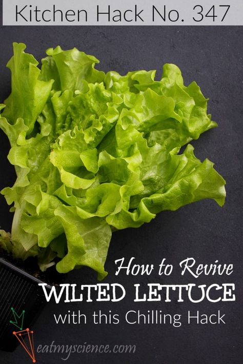 Buttercrunch Lettuce, Lettuce Recipes, Wilted Lettuce, Head Of Lettuce, Fresh Salad, Shredded Lettuce, Lettuce Leaves, Healthy Kitchen, Romaine Lettuce