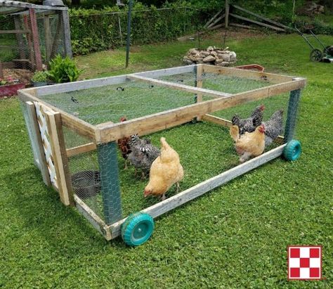 More ideas below: Easy Moveable Small Cheap Pallet chicken coop ideas Simple Large Recycled chicken coop diy Winter chicken coop Backyard designs Mobile chicken coop On Wheels plans Projects How To Build A chicken coop vegetable garden Step By Step Blueprint Raised chicken coop ideas Pvc cute Decor for Nesting Walk In chicken coop ideas Paint backyard Portable chicken coop ideas homemade On A Budget Chicken Pen Plans Diy Projects, Moving Chicken Coop Wheels, Diy Chicken Coop Recycled Materials, Diy Mobile Chicken Coop, Chicken Run On Wheels, Easy Chicken House Diy, How To Build A Chicken Coop Step By Step, Moving Chicken Coop, Moveable Chicken Run