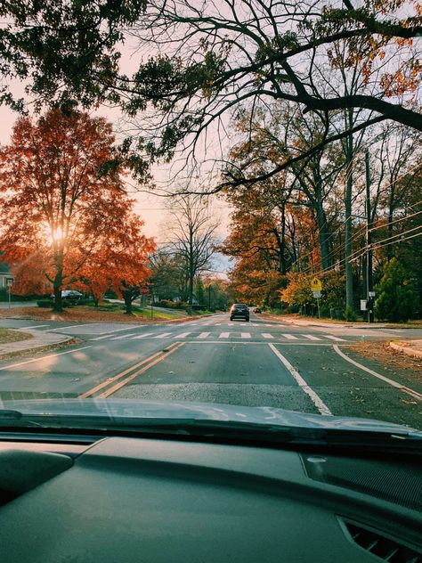 Fall Drive Aesthetic, Suburban Mom Aesthetic, Driving Playlist, Mom Collage, November Inspiration, Fall Nostalgia, Suburban Aesthetic, Fall Drive, Driving Road