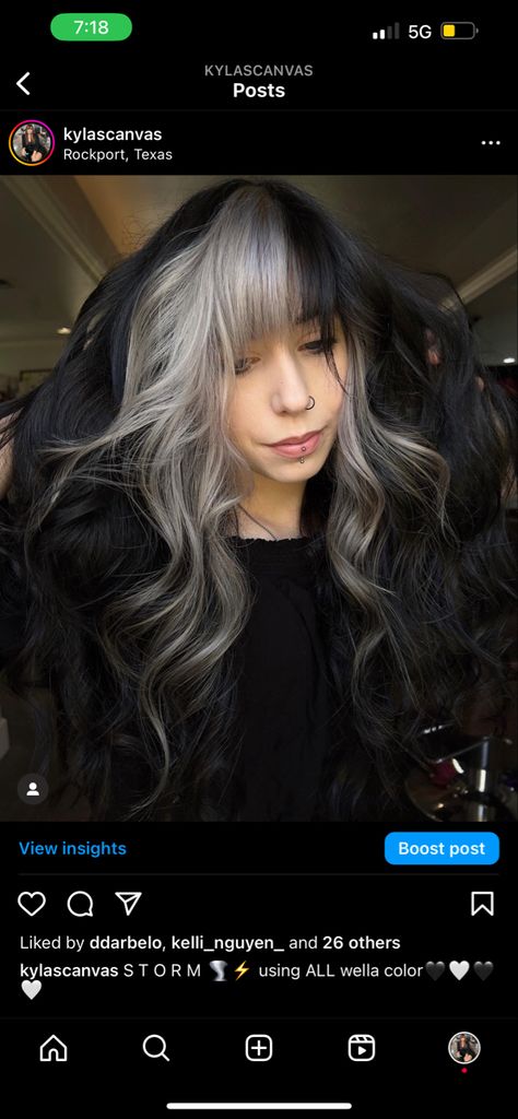 silver hair black hair color blocking Black And Silver Hair With Bangs, Color Blocked Bangs, Color Blocked Hair, Hair Color Blocking, Silver And Black Hair, Color Blocking Hair, Black And Silver Hair, Dark Hair Makeup, Black And Grey Hair