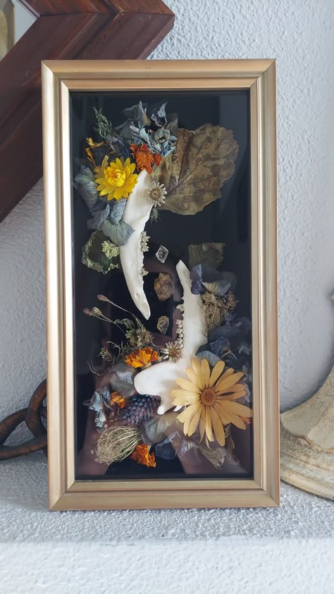 Skull Display, Animal Bone Display, Taxidermy With Flowers, Shadow Box Ideas Oddities, Skeleton Taxidermy, Butterfly Taxidermy Aesthetic, Butterfly Taxidermy Art, Oddities Decor, Deer Skull Art