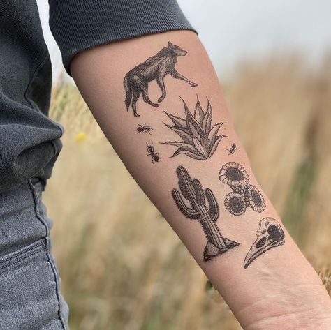 TEMPORARY TATTOOS (@naturetats) • Instagram photos and videos Skull Tattoo Meaning, Coyote Tattoo, Desert Tattoo, Coyote Skull, Cactus Tattoo, Tattoos Mandala, Western Tattoos, Fire Ants, Inspiration Tattoo