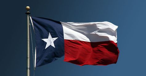 Texas Icons, Texas State Flag, Running Jokes, Loving Texas, Texas Flag, Texas Flags, States In America, Lone Star State, Texas State