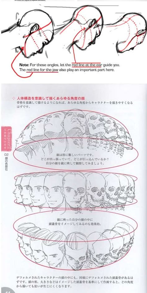 Lots of head angle reference, click to see more. Posing Anatomy, Head Angle Reference, Angle Reference, How To Draw Anime, 얼굴 그리기, Drawing Heads, Draw Anime, Drawing Studies, 캐릭터 드로잉