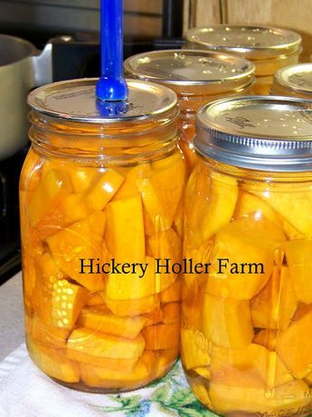 Canning Butternut Squash, Canning Squash, Fermenting Recipes, Homestead Cooking, Preserving Recipes, Food Canning, Pressure Canning Recipes, Canning 101, Canning Pickles