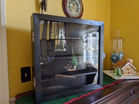 If you have any woodworking tools at all you can easily make a very nice display case. We used a table saw, miter saw, router, hand sander, band saw, scroll saw, brad nailer, Grr-Ripper and drill. This one was made with materials we had on hand for a neighbor boy who wanted to display one of his collections. You'll need five pieces of scrap 1/2" plywood that are 19"x3" and two pieces that are 20"x3" and one piece that is 20"x20". The front door plexigass scrap we had was about 18"x… Diy Glass Display Case, Homemade Display Case, Belt Buckle Display Case, Diy Plexiglass Display Case, Western Buckle Display Case, Farmhouse Pantry Cabinets, Painting Linoleum Floors, Bathroom Light Fixtures Ceiling, Dining Set Makeover