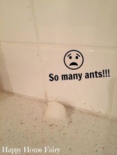 How to Get Rid of Sugar Ants With Just 3 Ingredients! - Happy Home Fairy Sugar Ants, Happy Home Fairy, Homemade Toilet Cleaner, Hardwood Floor Cleaner, Cleaning Painted Walls, Glass Cooktop, Deep Cleaning Tips, Hard Water Stains, Clean Dishwasher