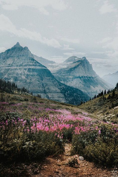 Views from the Going to the Sun road in Glacier National Park, Montana. Not a hiker, you can still enjoy a lot of what Glacier has to offer with the Going-to-the-Sun road. This road meanders through the park. You will see lakes, waterfalls, forests, mountains. It is one of the best drives ever. Check out the best things to do in Glacier National Park. #glaciernationalpark #traveldestinations #beautifulplaces Glacier National Park Wildflowers, Mountains Montana, Glacier National Park Photos, Glacier National Park Photography, What To Do In Bozeman Montana, Montana Glacier National Park, Glacier Park Montana, Montana Aesthetic, Waterton Lakes National Park