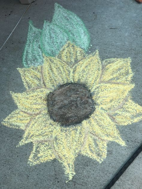 Sunflower Chalk Art, Chalk Art, How To Dry Basil, Shag Rug, Chalk, Sunflower, Herbs, Art