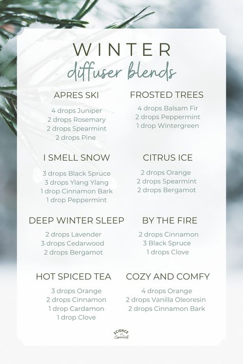 Winter Essential Oil Blends, Holiday Diffuser Blends, Winter Diffuser Blends, Diffuser Blends Young Living, Christmas Diffuser Blends, Winter Skin Care Tips, Winter Science, Eo Blends, Essential Oil Combinations