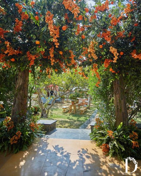 Devika Narain Indian Weddings, Devika Narain, Udaipur, Insta Wedding, A Garden, Beautiful Landscapes, Indian Wedding, A Year, Lake