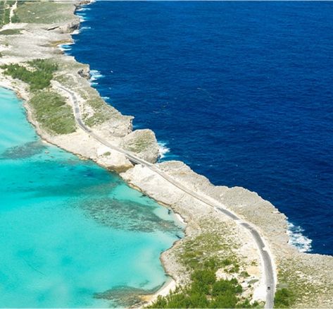 Glass Window Bridge - Eleuthera & Harbour Island in The Bahamas Eleuthera Bahamas, Glass Bridge, Bahamas Island, Pink Sand Beach, Harbour Island, Tourist Office, Destination Voyage, The Bahamas, Royal Caribbean