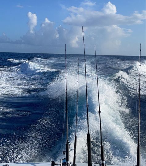 KEY WEST FL Fish Shop Aesthetic, Fishing Aesthetic Ocean, Key West Florida Aesthetic, Florida Keys Aesthetic, Summer Nature Aesthetic, Fishing Aesthetic, Therapy Homework, Keys Florida, District 4