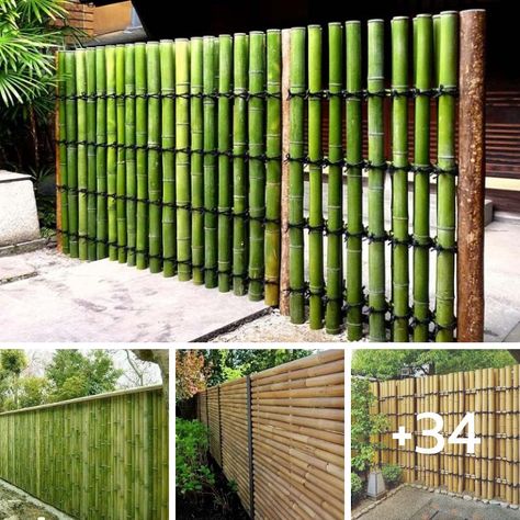 House Design - 34 Beautiful "Bamboo Fence" Ideas for... Bamboo Fence Design Ideas, Bamboo Fence Design, Bamboo Fence Garden, Bamboo Fence Ideas, Bamboo Privacy Fence, Bamboo Garden Fences, Cordwood Homes, Bamboo Diy, Bamboo Privacy