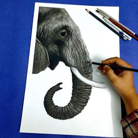 Hyper Realistic Charcoal drawing of Elephant by Artist Bhagyashree Nagpure. Open the link below to know the process of the drawing. Elephant Sketch Realistic, Drawing Of Elephant, Elephant Pencil Drawing, Learn Sketching, Charcoal Sketching, Drawing Elephant, Sketch Realistic, Elephant Sketch, Alevel Art