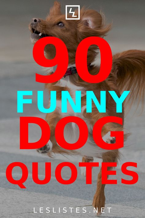 Dogs are known as man’s best friend. With that in mind, check out the top 90 dog quotes you should know and memorize. #dog Man’s Best Friend, Man And Dog Quotes, Man’s Best Friend Quotes Dog, Mans Best Friend Quotes Dog, Dont Need A Man Quotes, Working Dog Breeds, Dog Lover Quotes, Hype Men, Working Dog