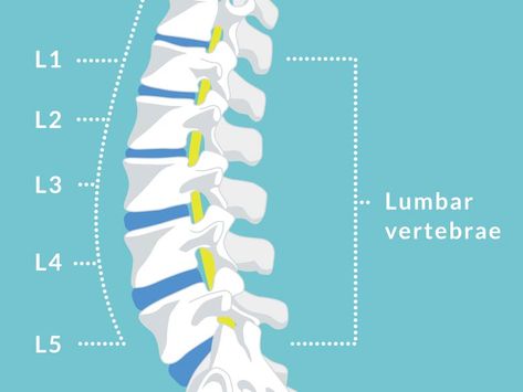 Discovery Zone, Causes Of Back Pain, Bulging Disc, Disk Herniation, Types Of Surgery, Healing Thoughts, Healthy Bodies, Back Pain Exercises, The Patient