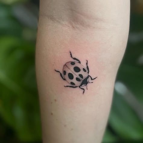 Last Bug Tattoo, Lady Beetle Tattoo, Fine Line Bug Tattoo, Small Insect Tattoo, Uwu Tattoo, Fine Line Ladybug Tattoo, Ladybug Tat, Simple Bug Tattoo, Little Bug Tattoo