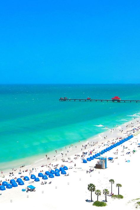 Top 10 Weekend Getaways From Tampa, Florida Tourist Center, Visit Florida, Tampa Florida, Weekend Trips, Beach Fun, Plan Your Trip, Beach Resorts, Weekend Getaways, Go On