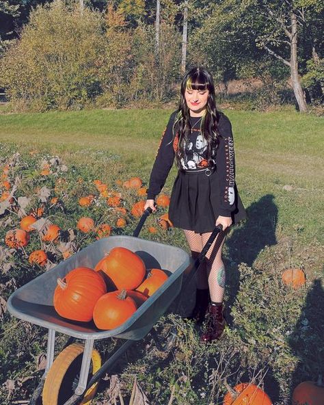 Pumpkin Queen, Pumpkin Picking, Halloween 2020, Pumpkin Patch, Horror Movies, Pumpkins, I Can, Queen, Halloween