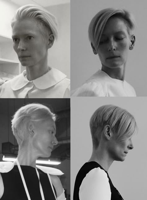 Tilda Swinton Haircut Tilda Swinton Haircut, Tilda Swinton Hair, Tilda Swinton, Hair Raising, Slick Hairstyles, Hair Haircuts, Short Pixie Haircuts, Trending Haircuts, Short Hair Haircuts