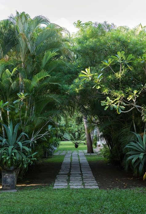 You don’t need to travel to a tropical island in Asia or the South Pacific to escape the pressures of modern life — when you have a resort-style garden, every day is like a holiday. Here's how to design the ultimate tropical garden in your very own backyard. Tropical Landscape Design, Garden Tropical, Screen Plants, Tropical Garden Design, Tropical Backyard, Tropical Foliage, Backyard Garden Design, Garden Landscape Design, Design Garden