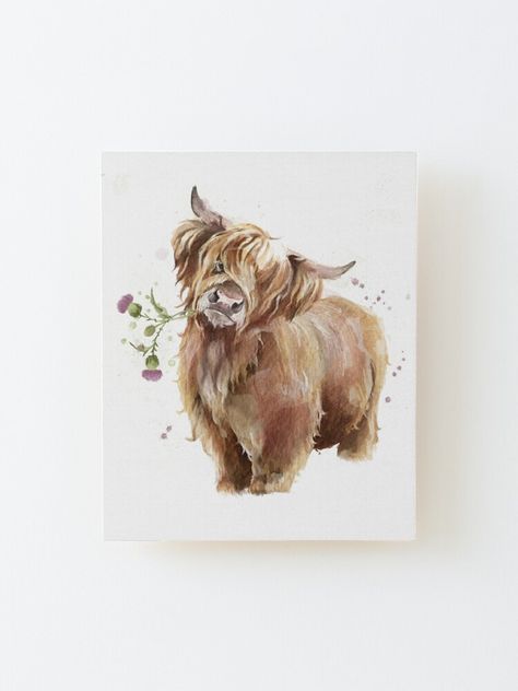 Hiland Cow Painting Easy, Long Hair Cow Painting, Highland Cow Watercolour Paintings, Watercolour Highland Cow, Highlander Tattoo, Highland Cow Tattoo With Flowers, Fluffy Cow Drawing, Scottish Highland Cow Art, Highland Cow Drawing