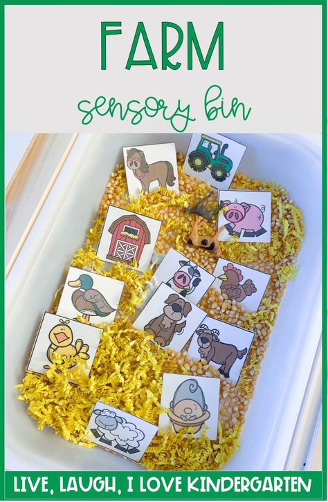 Farmer Sensory Bin, Farm Theme Sensory Bin, Feed The Farm Animals Sensory Bin, Farm Sensory Activities, Toddler Daycare Rooms, Farm Sensory, Farm Sensory Bin, Farm Activities Preschool, Farm Week