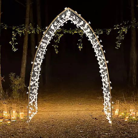 Christmas Statues at Tractor Supply Co. Lighted Archway, Archway Decor, Floral Archway, Garden Backdrops, Outdoor Light Bulbs, Wedding Backdrop Decorations, Floral Curtains, Outdoor Wedding Decorations, Elegant Frame