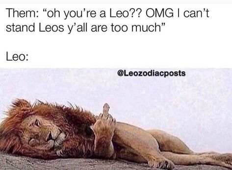 Zodiac Leo Art, All About Leo, Leo Zodiac Quotes, Leo Quotes, Leo Zodiac Facts, Leo Traits, Best Zodiac Sign, Astrology Leo, Leo Love