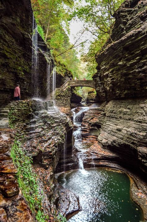 Watkins Glen State Park, Oregon Road Trip, Watkins Glen, The Gorge, Oregon Travel, Bora Bora, Beautiful Places To Travel, Beautiful Places To Visit, Pretty Places