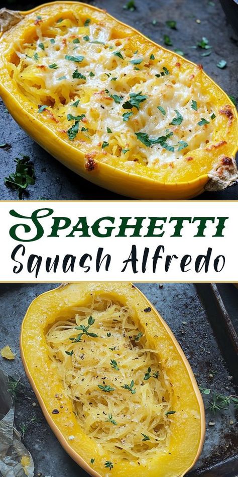 Love Alfredo but want to keep it light? Try this delicious Spaghetti Squash Alfredo recipe 🍽️💚. Full of creamy, cheesy flavor without the carbs! It’s the ultimate comfort food that’s good for you too! 🧄🥦 #HealthyDinnerIdeas #KetoFriendly #SpaghettiSquash Spaghetti Squash Sauce, Low Calorie Spaghetti, Alfredo Spaghetti Squash, Spaghetti Squash Chicken Alfredo, Spaghetti Squash Alfredo, Vegan Spaghetti Squash, Squash Alfredo, Alfredo Spaghetti, Healthy Squash Recipes