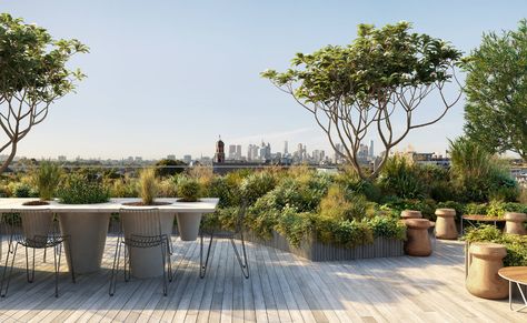 Breathe Architecture — Little Miller Roof Garden Design, Rooftop Terrace Design, Rooftop Design, Renewable Sources Of Energy, Rain Water Collection, Terrace Design, Rooftop Garden, Roof Terrace, Roof Garden