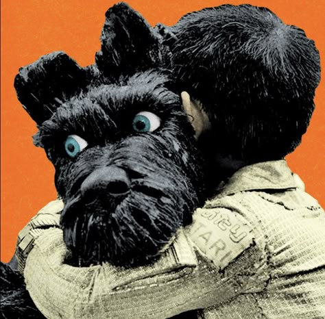 Wes Anderson Icons, Wes Anderson Pfp, Isle Of Dogs Pfp, Movie Icons Pfp, Isle Of Dogs Aesthetic, Film Pfp, Isle Of Dogs Poster, Movies Pfp, Pfp Movie