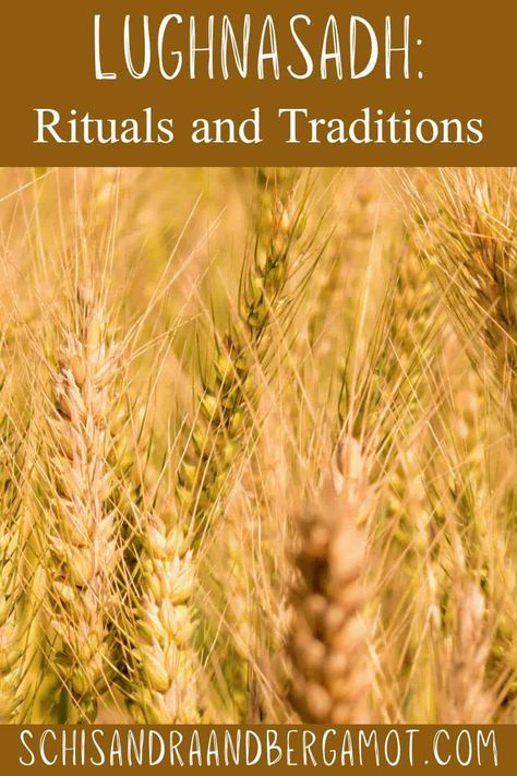 Discover the history and traditions of Lughnasadh, the ancient Gaelic festival celebrating the first harvest of the year. Learn about the customs, rituals, and symbols associated with this important holiday. Lughnasadh Correspondences, Lughnasadh Ritual, Ancient Olympic Games, Ancient Olympics, Witch Life, Pagan Holidays, Wiccan Sabbats, Corn Dolly, Celtic Festival