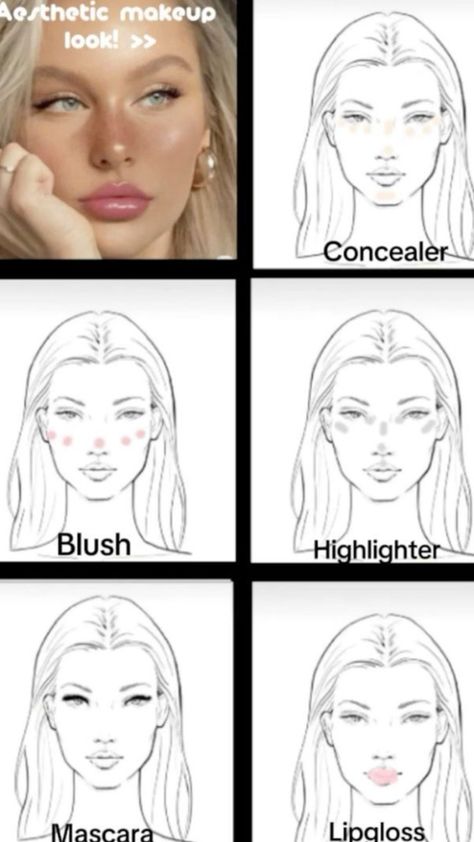 Makeup Tutorial Pictures Step By Step, Where To Place Makeup On Face, Where To Put Makeup On Face, Makeup Tutorials Step By Step, Makeup Routine Guide, School Makeup Tutorial, Back To School Makeup, Asian Makeup Tutorials, Enhance Beauty