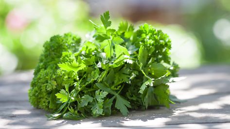 What Is the Difference Between Flat-Leaf Parsley and Curly Parsley? - 2021 - MasterClass Curly Parsley, Parsley Plant, Parsley Pesto, Perfect Eggs, Chimichurri Sauce, Green Sauce, What Is The Difference Between, Asparagus Recipe, Spices And Herbs