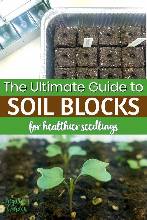 The Ultimate Guide to Soil Blocking! How to make soil blocks with the best soil recipes to satisfy any DIY gardener. Get ready to start your seeds! #soilblocking #beginninggardener #seedstarting Soil Blocker Diy, Soil Blocking, Indoor Seed Starting, Classroom Garden, Farm Greenhouse, Soil Blocks, Bucket Garden, Seed Growing, Seed Starting Soil