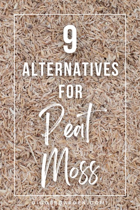 Discover a greener approach to gardening as we unveil 9 alternatives for peat moss, each offering unique benefits for your garden ecosystem! From coconut coir to compost, this insightful article will guide you through the diverse options available to enhance soil structure and promote plant growth. Click to delve deeper into sustainable gardening practices and follow us for a wealth of eco-conscious ideas! Garden Ecosystem, Hydroponics Setup, Sustainable Gardening, Big Garden, Sustainable Garden, Peat Moss, Money Trees, Grass Seed, Garden Soil