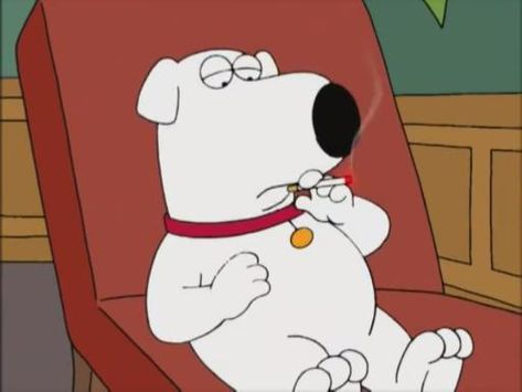 Brian Griffin Icon, Brain Griffin, Brian Family Guy, Brian Griffin, Family Guy Funny, Cartoon Edits, Reaction Images, Reaction Pics, Cute Funny Dogs