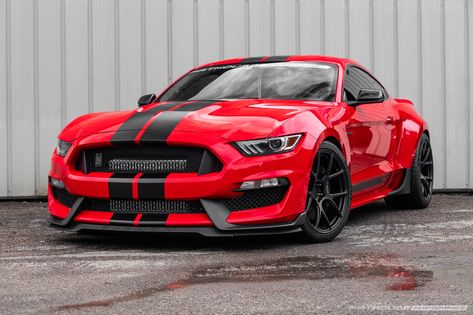 Mustang 350 Gt, Mustang Gt350 Shelby, Gt 350 Shelby, S550 Mustang Gt, Thar Car, Gt350 Shelby, Shelby Gt 350, Mustang Gt 350, Ford Mustang Shelby Gt350