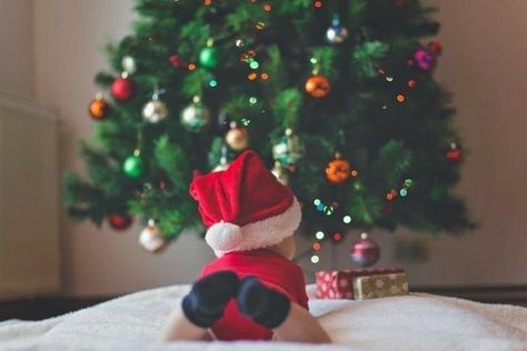 Christmas Pictures Kids, Family Christmas Pictures Outfits, Baby Christmas Photography, Dog Christmas Pictures, Christmas Couple Pictures, Christmas Pictures Outfits, Christmas Baby Pictures, Baby's First Christmas Gifts, First Christmas Photos