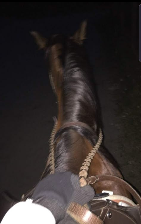 Night ride Horseback Riding At Night, Fake Horse Riding Snaps, Night Horse Riding, Night Horse, Bareback Riding, Horseback Riding Outfits, Attitude Quotes For Girls, The Moon Is Beautiful, Hand Pictures