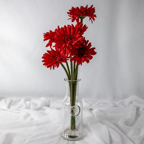 Succulent Table Decor, Red Gerbera, Hydrangea Leaves, Mini Calla Lilies, Lotus Pods, Tropical Wedding Flowers, Flowers Real, Clematis Vine, White Gardenia